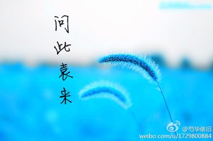 Ask this Yuan Lai